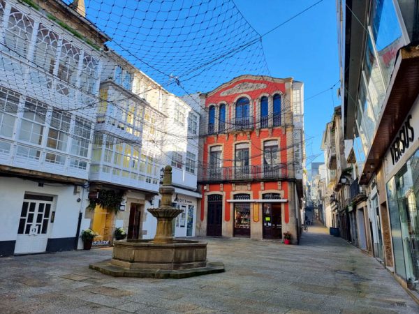 Viveiro plaza viveiro