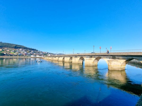 Viveiro puente psicologia